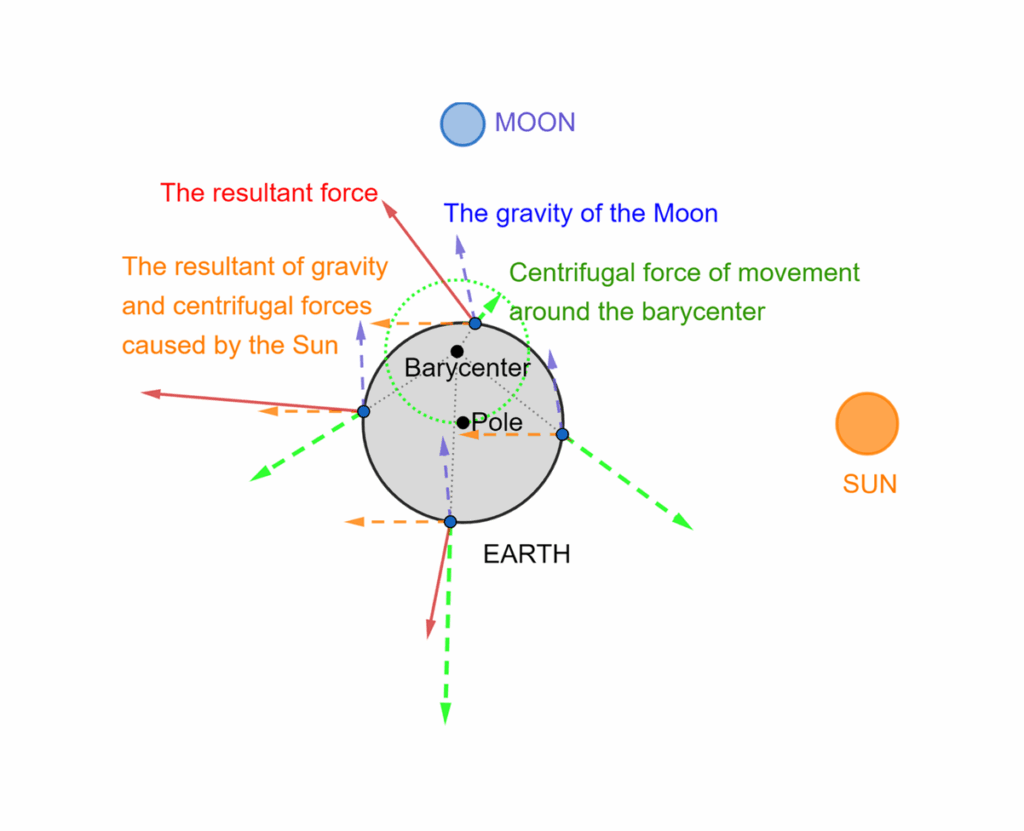 Figure 6. Forces on the ocean caused by the Moon and the Sun during the Moon phase of 50% (every 6 hours, in November)